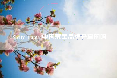 宁国中国冠军品牌是真的吗