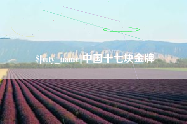 宁国中国十七块金牌