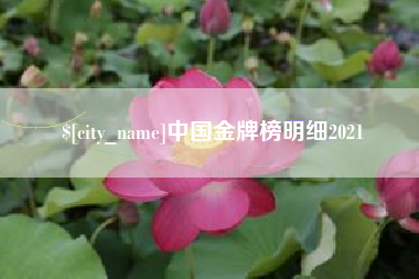 宁国中国金牌榜明细2021