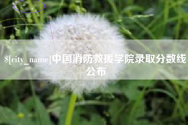 宁国中国消防救援学院录取分数线公布