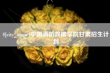 宁国中国消防救援学院甘肃招生计划