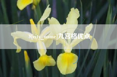 宁国九宫格优点