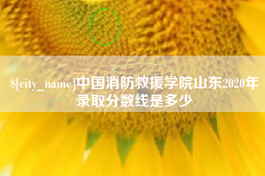 宁国中国消防救援学院山东2020年录取分数线是多少