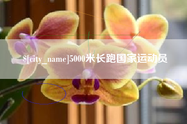 宁国5000米长跑国家运动员