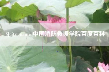 宁国中国消防救援学院百度百科