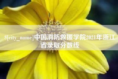 宁国中国消防救援学院2021年浙江省录取分数线