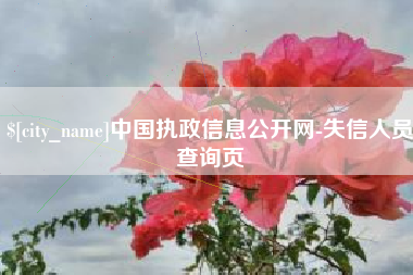 宁国中国执政信息公开网-失信人员查询页