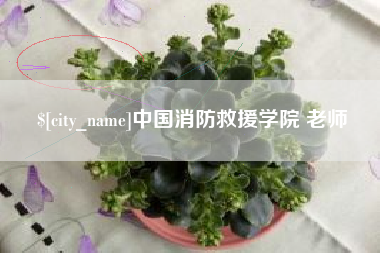 宁国中国消防救援学院 老师