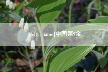 宁国中国第9金