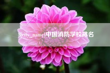 宁国中国消防学校排名