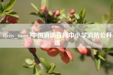 宁国中国消防官网中小学消防公开课