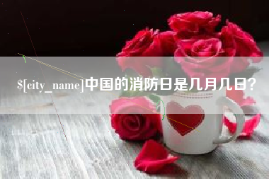 宁国中国的消防日是几月几日？