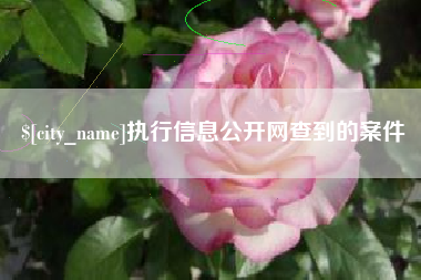 宁国执行信息公开网查到的案件