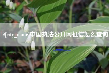 宁国中国执法公开网征信怎么查询