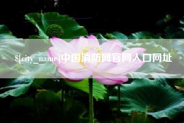 宁国中国消防网官网入口网址