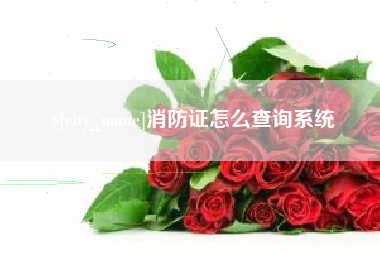 宁国消防证怎么查询系统