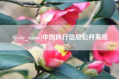 宁国中国执行信息公开系统