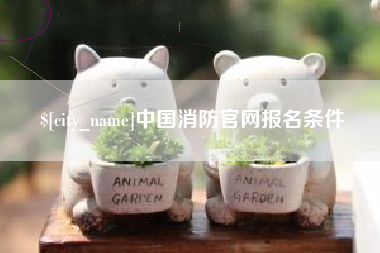 宁国中国消防官网报名条件