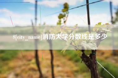 宁国消防大学分数线是多少
