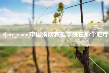 宁国中国消防救援学院在那个地方