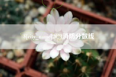 宁国2021消防分数线