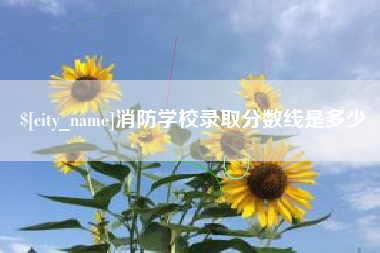 宁国消防学校录取分数线是多少