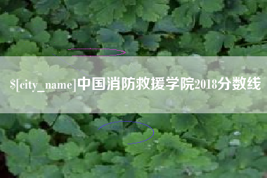 宁国中国消防救援学院2018分数线