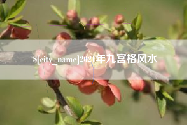 宁国2021年九宫格风水