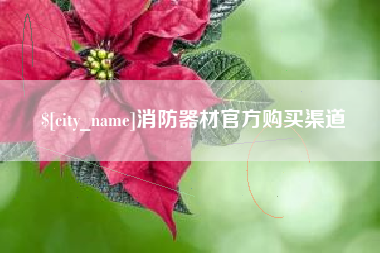 宁国消防器材官方购买渠道