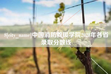 宁国中国消防救援学院2020年各省录取分数线