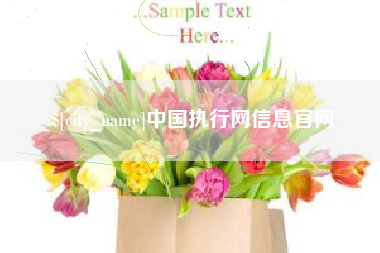 宁国中国执行网信息官网