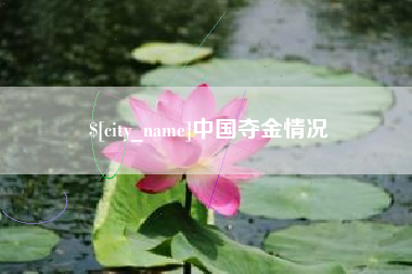 宁国中国夺金情况