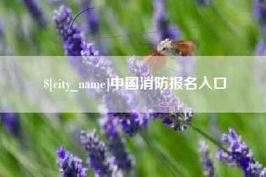 宁国中国消防报名入口