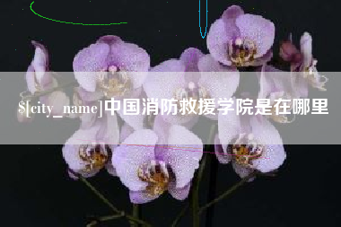 宁国中国消防救援学院是在哪里