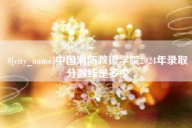 宁国中国消防救援学院2024年录取分数线是多少