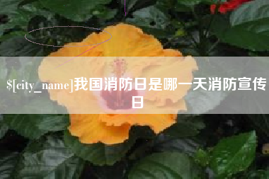 宁国我国消防日是哪一天消防宣传日