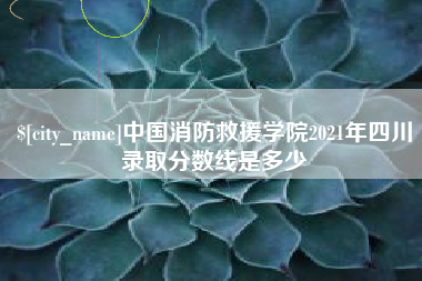 宁国中国消防救援学院2021年四川录取分数线是多少