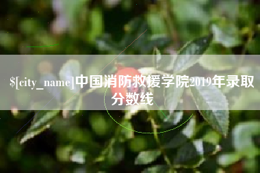宁国中国消防救援学院2019年录取分数线