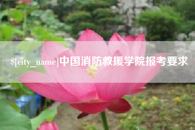 宁国中国消防救援学院报考要求