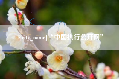 宁国“中国执行公开网”