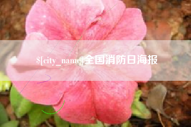 宁国全国消防日海报