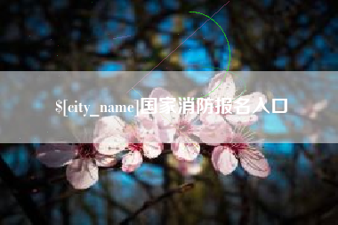 宁国国家消防报名入口