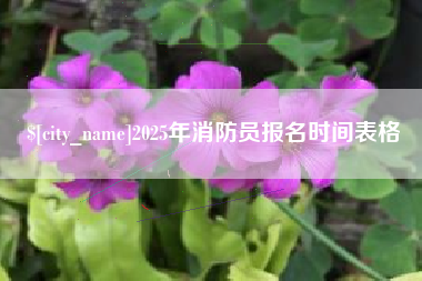 宁国2025年消防员报名时间表格