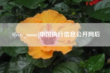 宁国中国执行信息公开网后