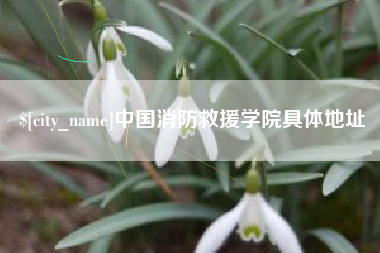 宁国中国消防救援学院具体地址