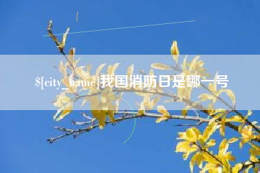 宁国我国消防日是哪一号