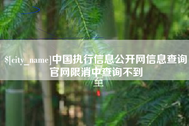 宁国中国执行信息公开网信息查询官网限消中查询不到