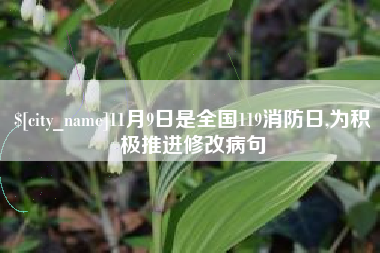 宁国11月9日是全国119消防日,为积极推进修改病句