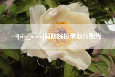 宁国消防院校录取分数线
