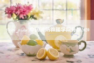 宁国中国消防救援学院分数2020